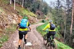mtb