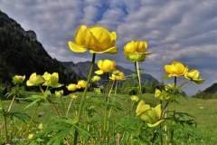 IMG-20230919-WA0001
