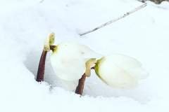 IMG-20230919-WA0003