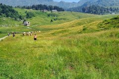 IMG-20260628-WA00532