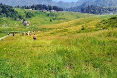 IMG-20260628-WA00533