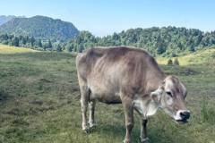 IMG-20260713-WA0014
