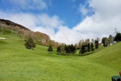 IMG_20250418_0952422